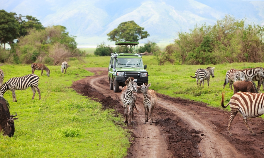 Kubwa Five Safaris reviews, tours, photos