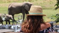 Up close to the relaxed wildlife in Mana Pools.  Luxurious Ruckomechi on banks of Zambezi River.