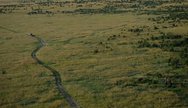 Masai Mara balloon Adventure safari experience with YHA Kenya travel. 