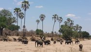 Ruaha NP