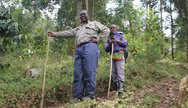 Gorilla Tracking Bwindi Impenetrable national Park