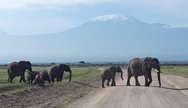 YHA Kenya Travel, Epic Tours Safaris, Safari Bookings, Active Adventures, Amboseli 