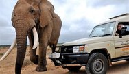 Alan Tours in Addo Park 