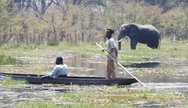 Exploring the Okavango delta