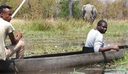 Okavango delta