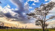 Lake Naivasha