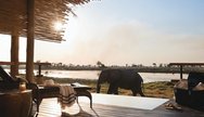 Game views Okavango Delta