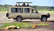In Masai Mara with 4x4 Jeep