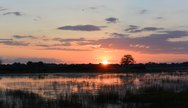 Okavango Delta