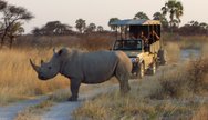 White Rhino, Etosha