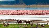 Ngorongoro Crater