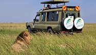 Game drive at Masai Mara