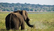 Chobe National park