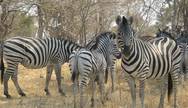 Kruger National Park
