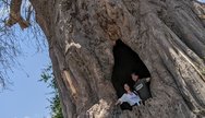 tarangire national park