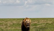 Serengeti