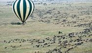 Best Serengeti Migration Tour 