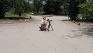 Tarangire Photographic safari