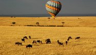 Serengeti balloon tour