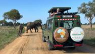 Game drive in Mikumi NP