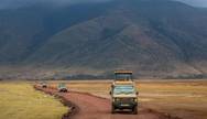 Serengeti Game Drives
