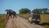 Scenic Serengeti View
