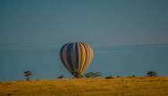 Serengeti Baloon Safari