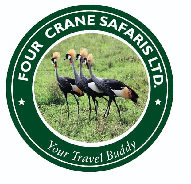 company logo