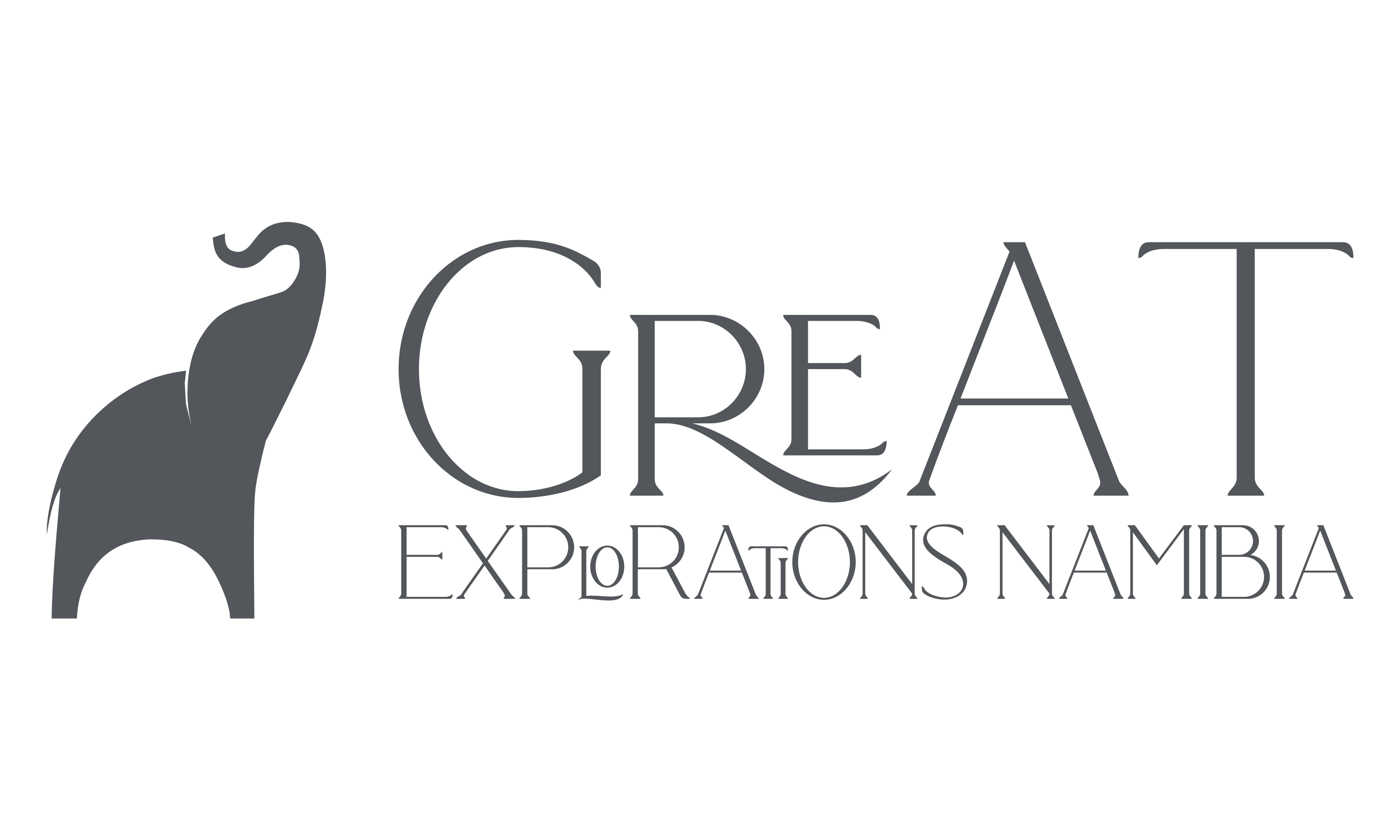 company logo