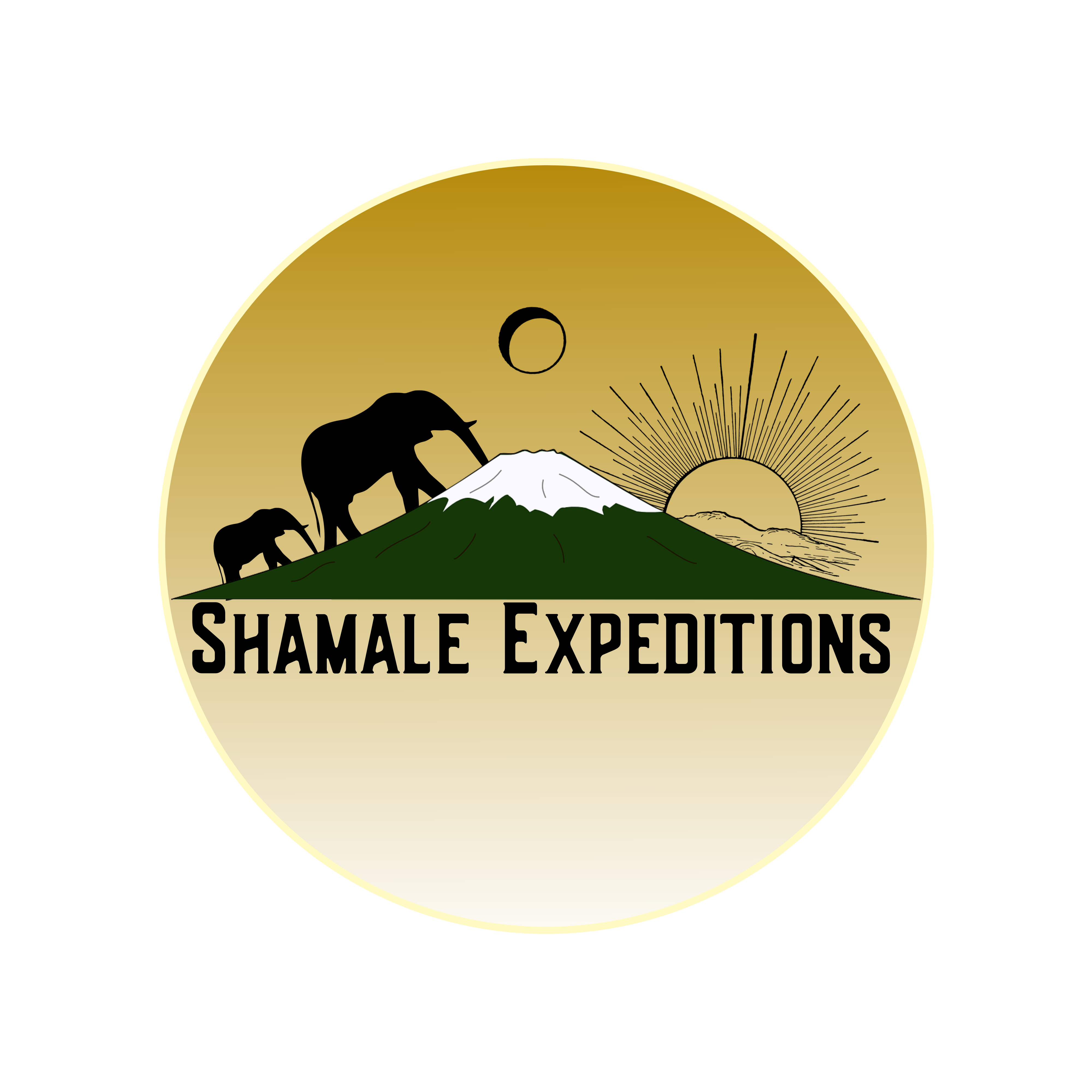 company logo