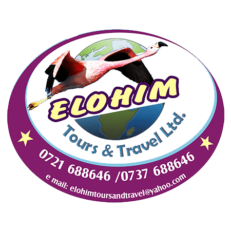 company logo