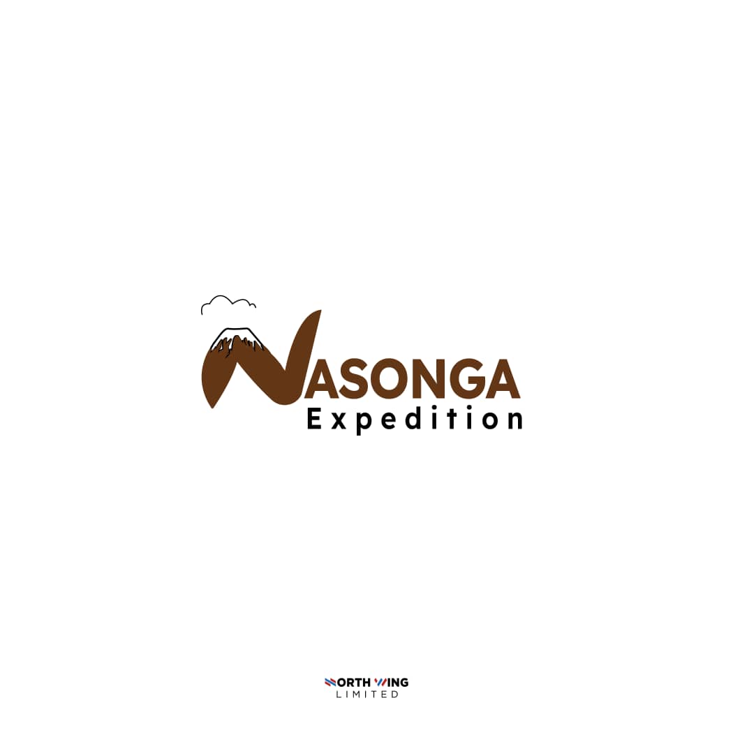 company logo