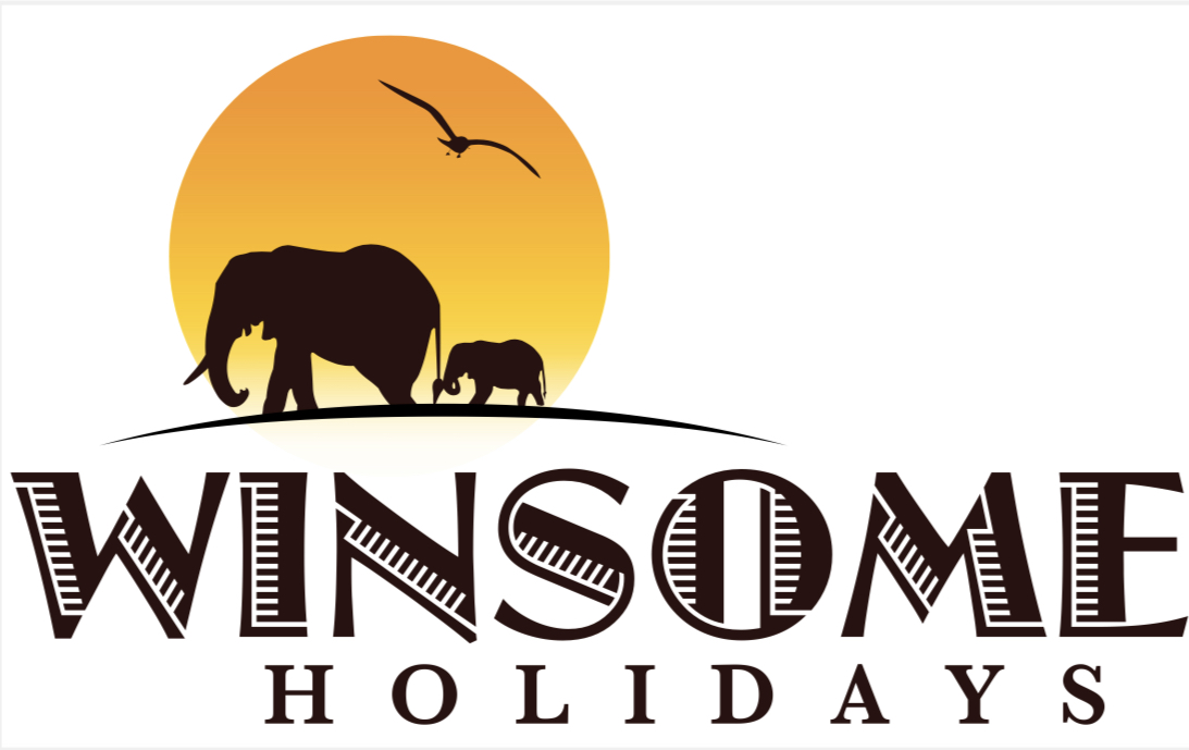 company logo