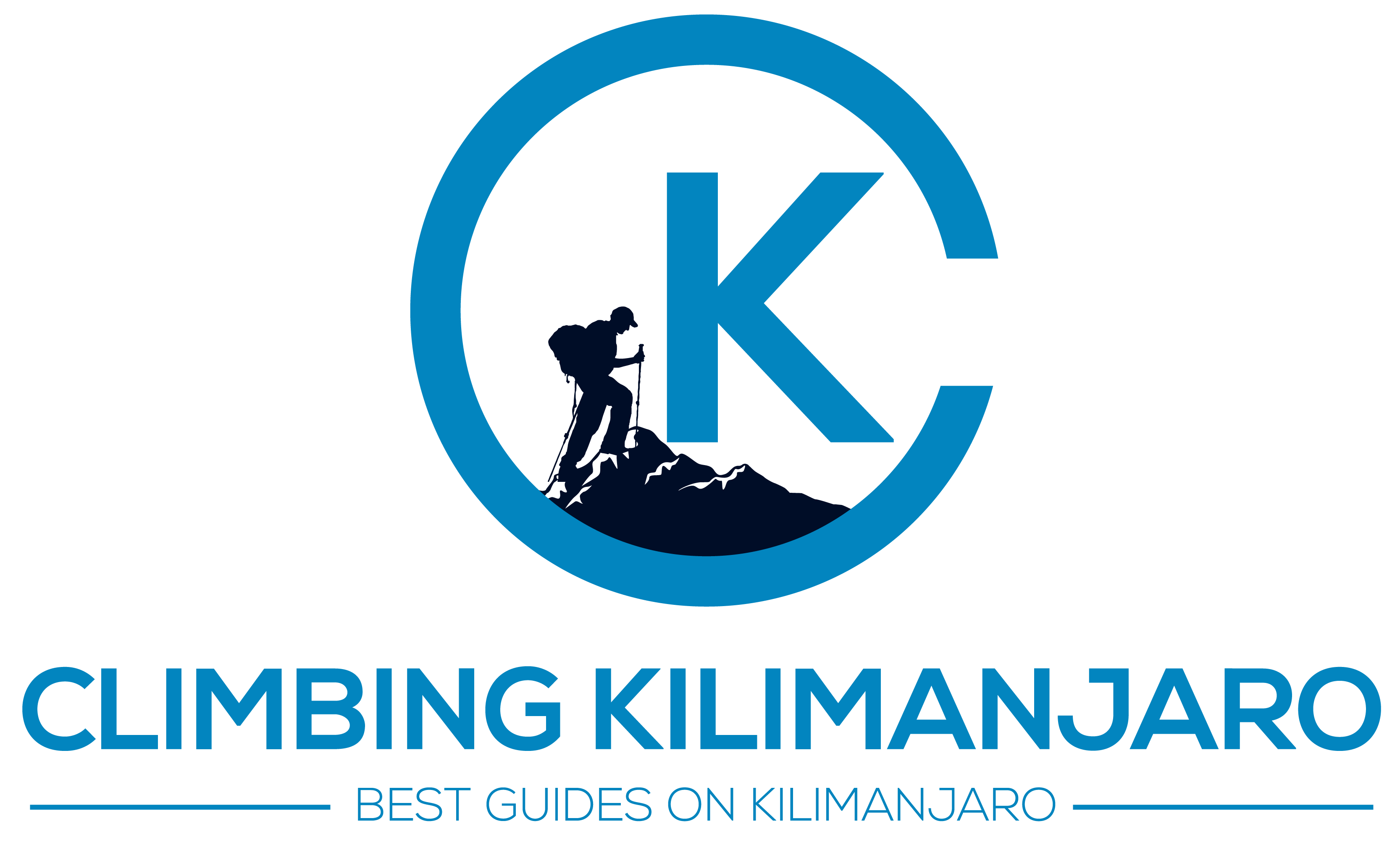 company logo