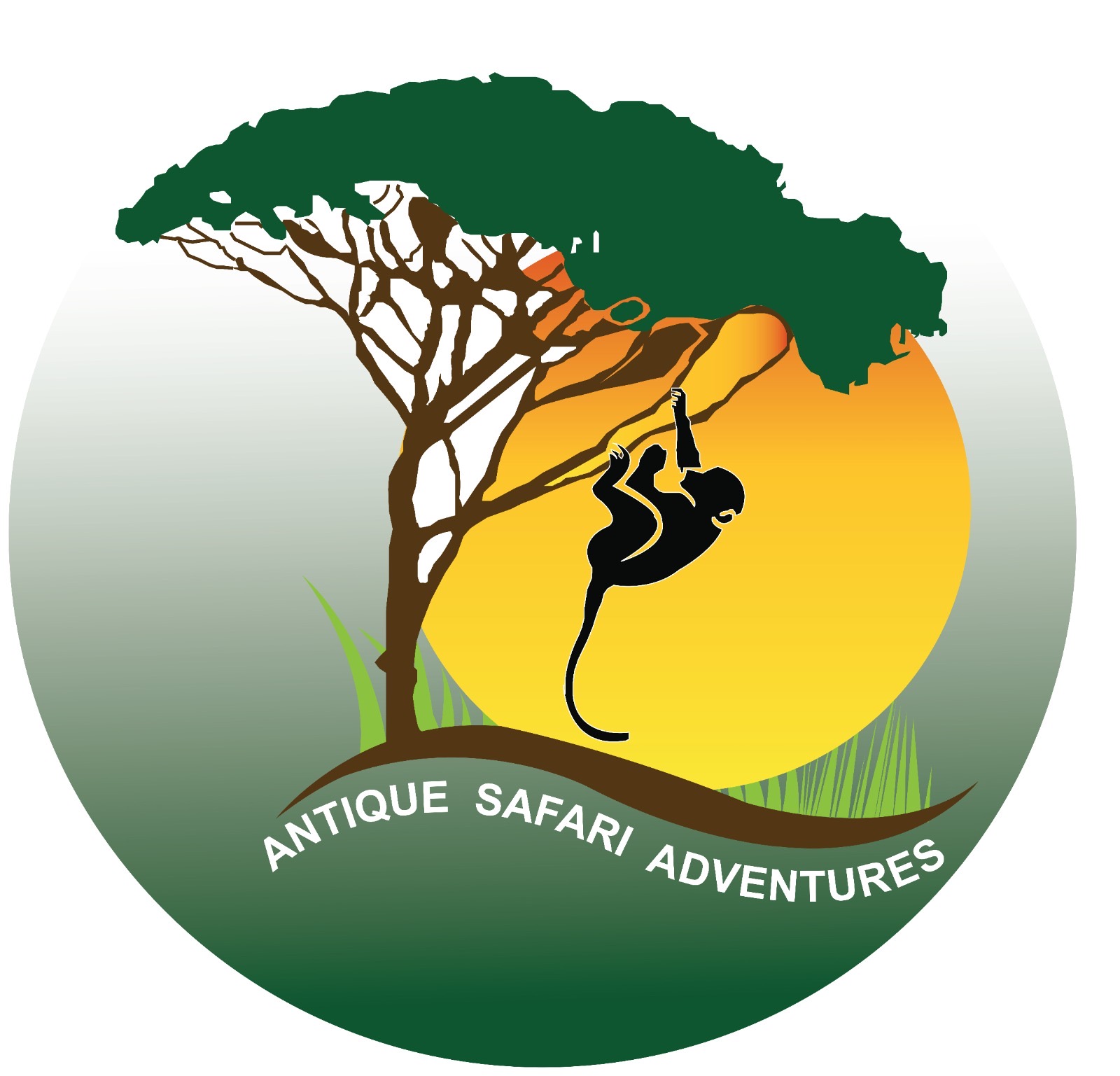 company logo