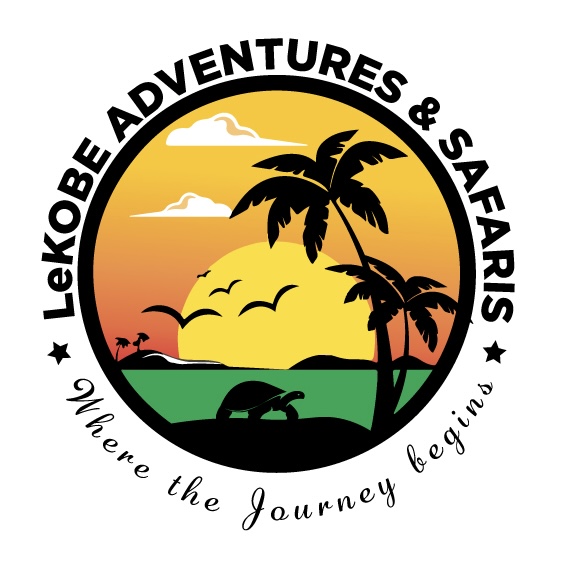 company logo