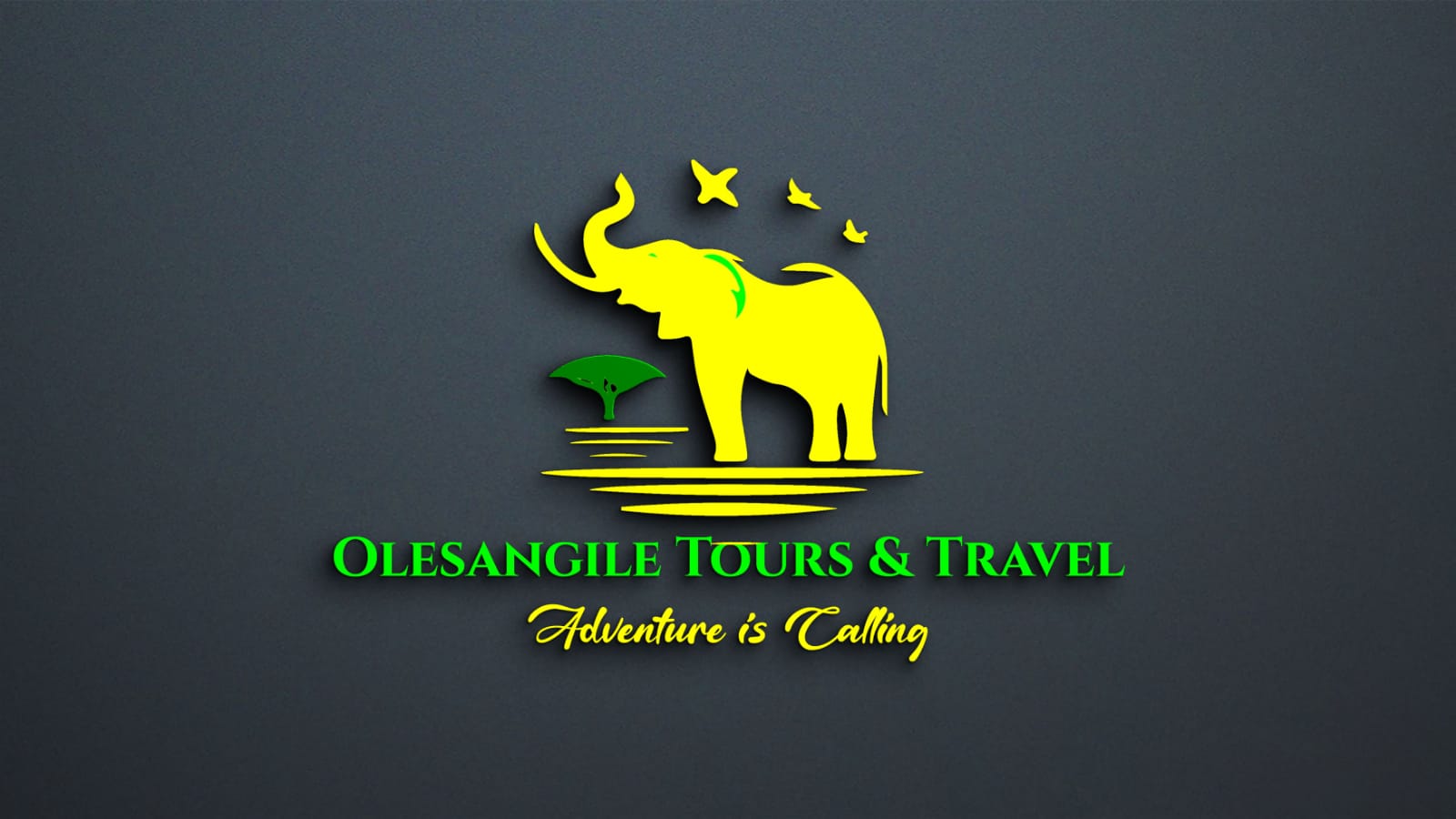 company logo