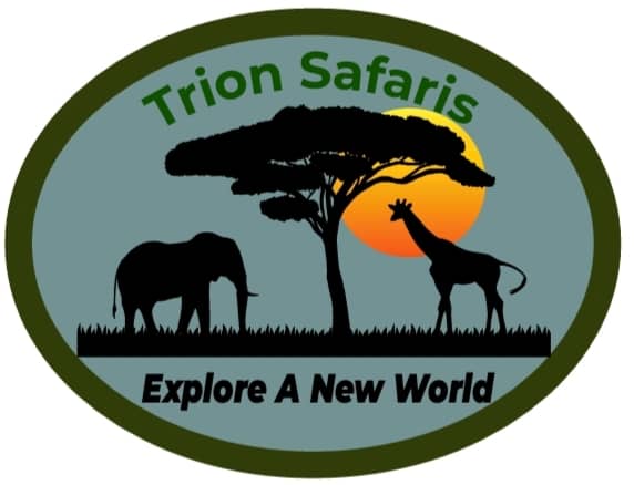 company logo