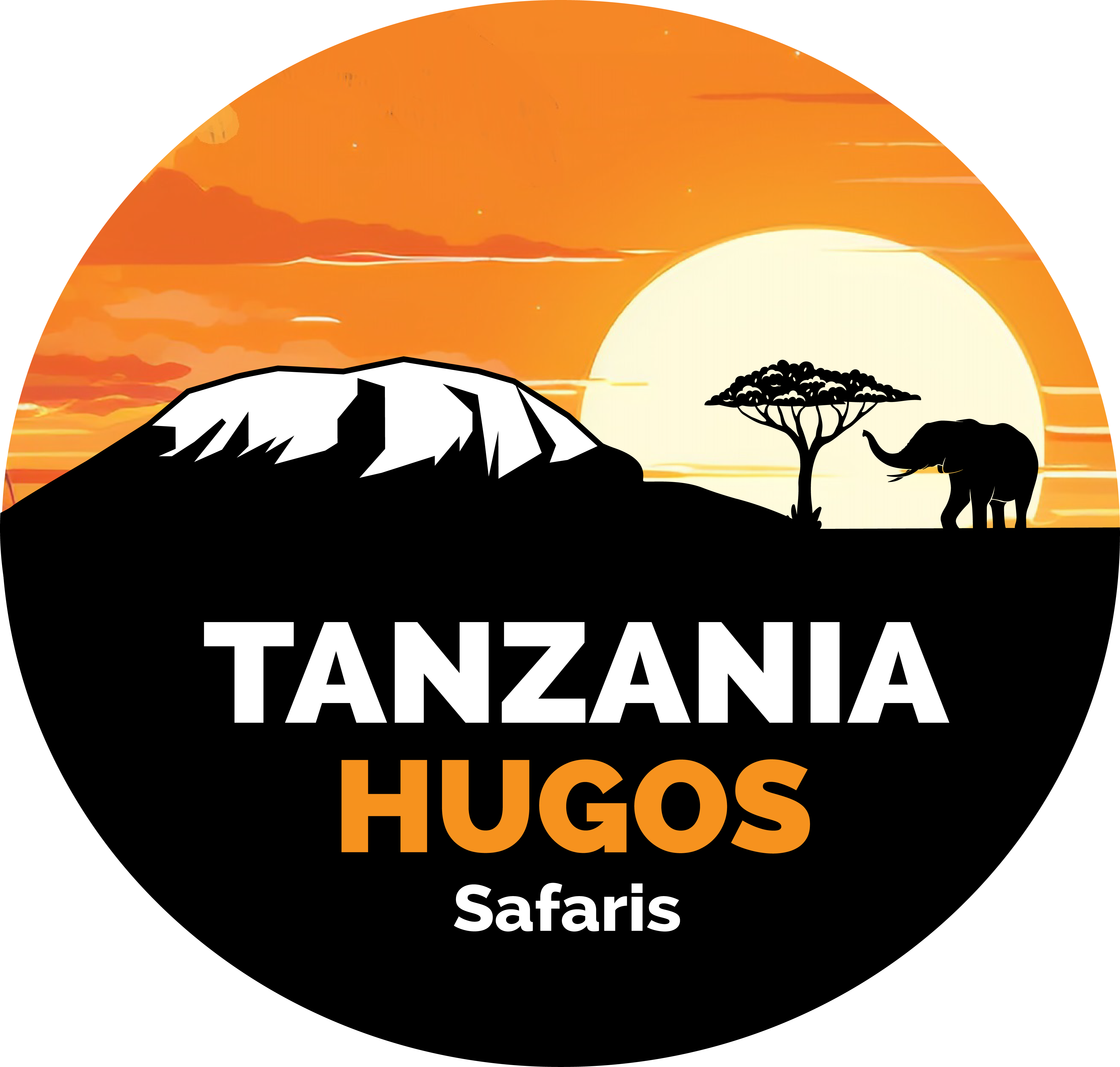 company logo