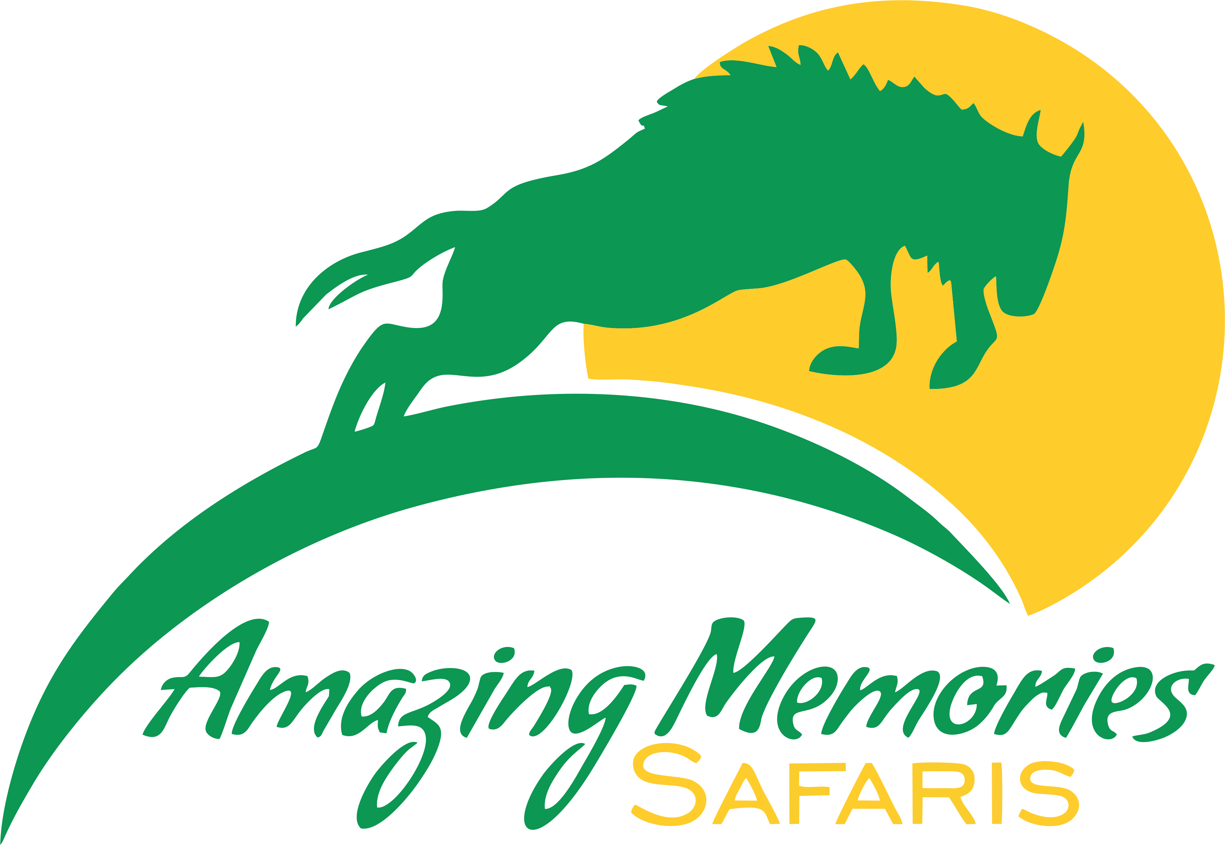 company logo