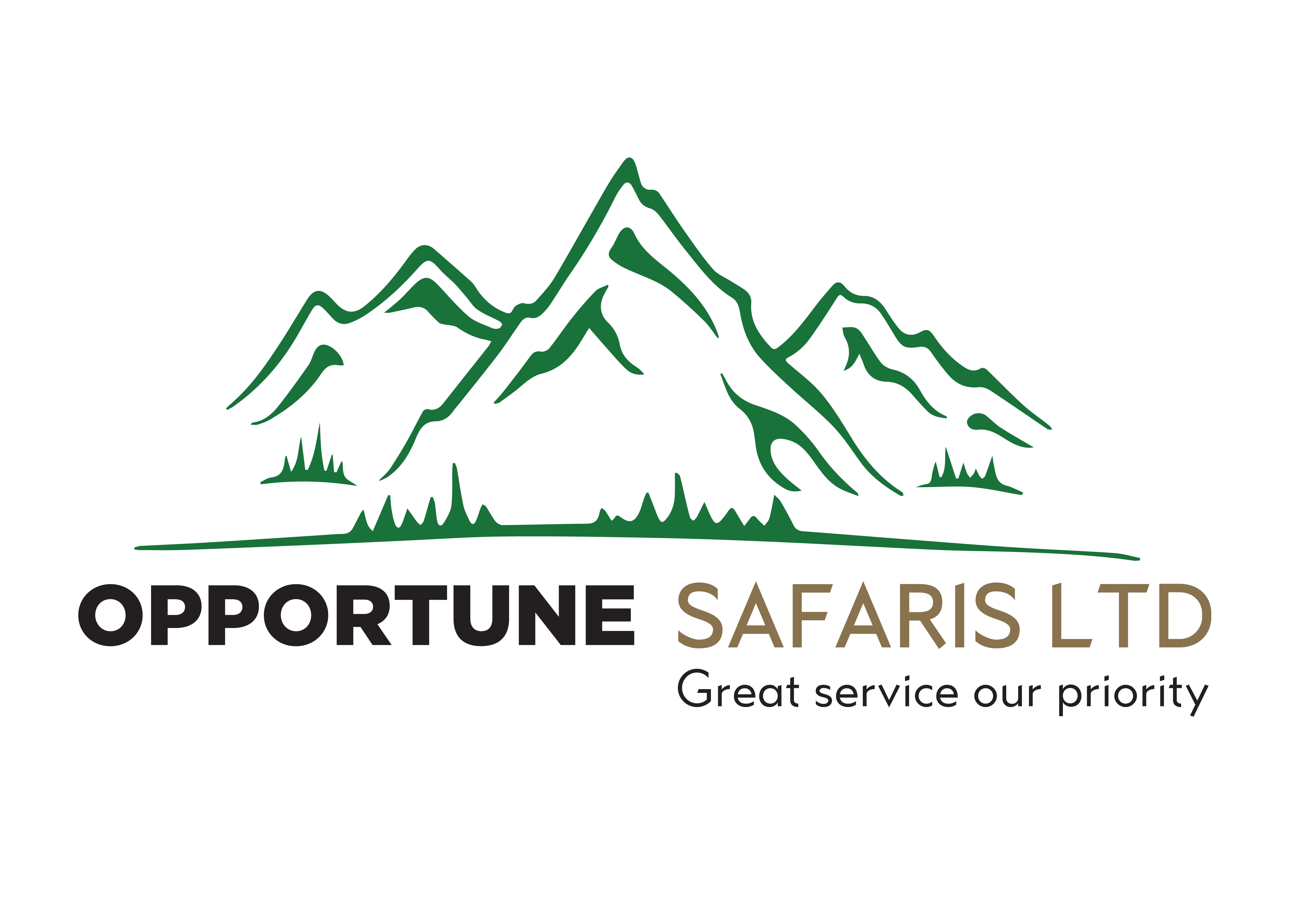 company logo