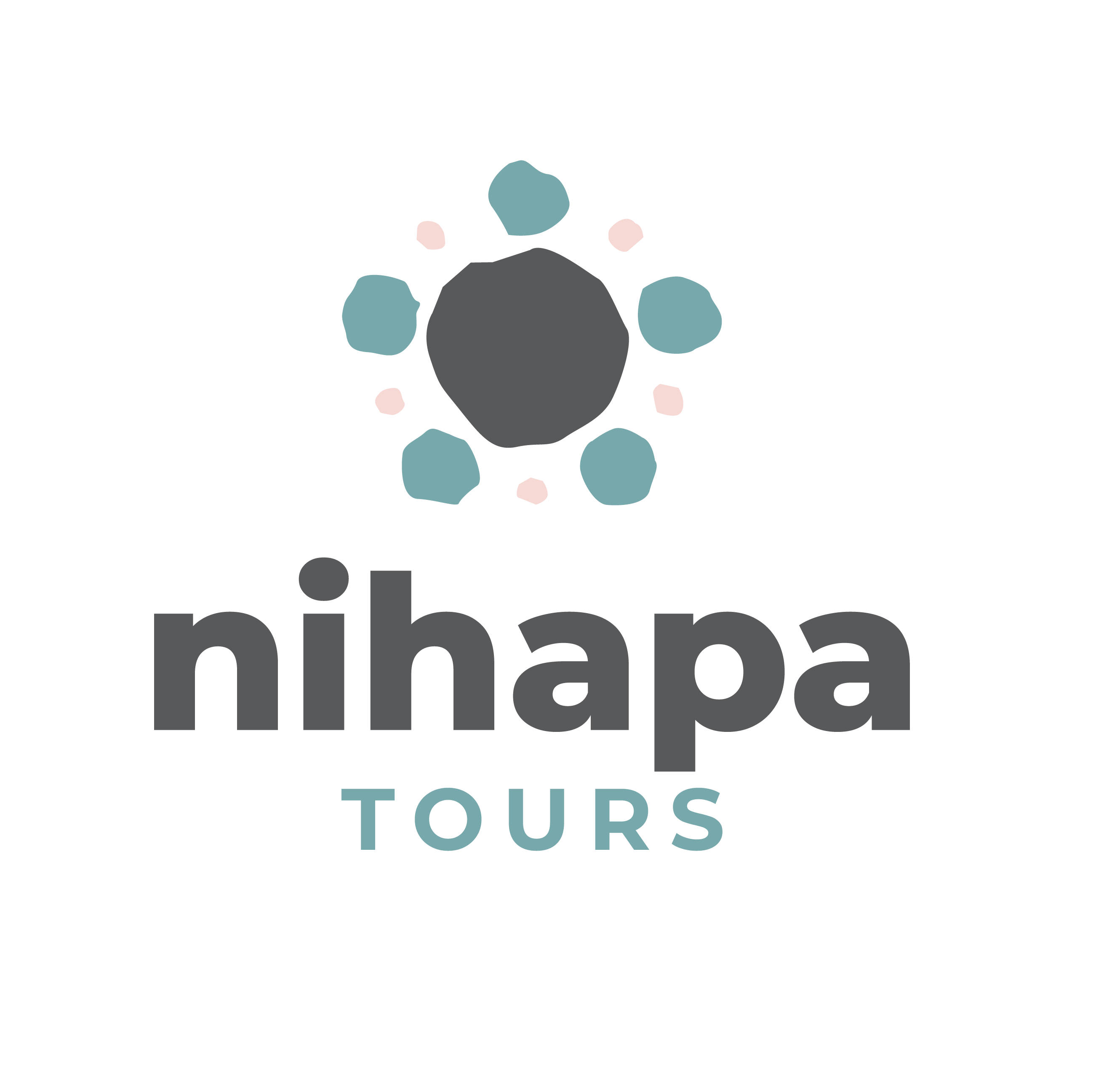 company logo