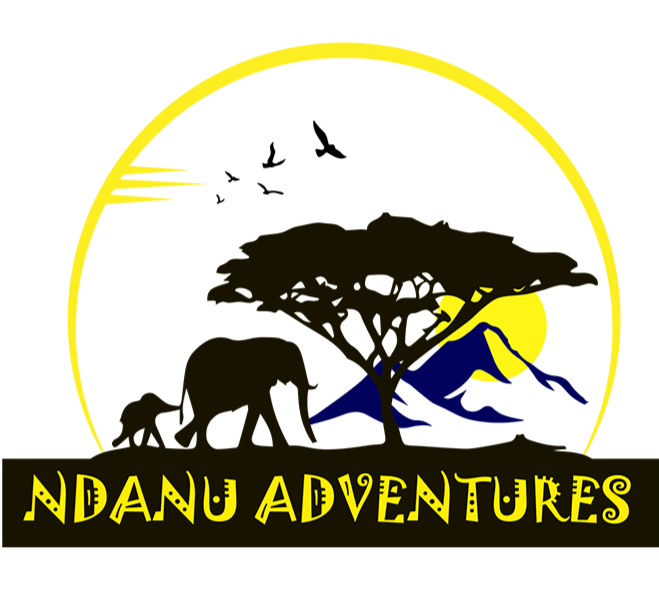 company logo