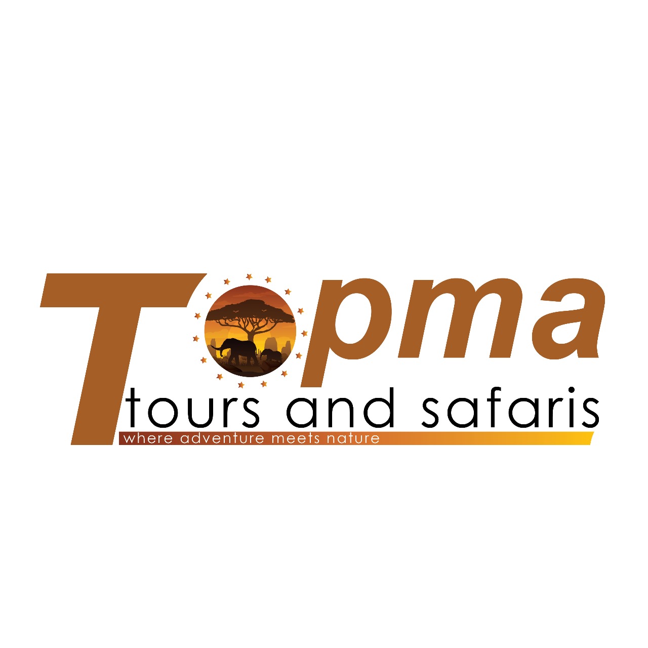 company logo