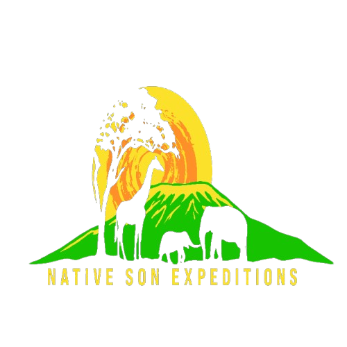 company logo