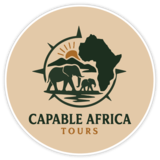 company logo