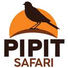 Pipit Safari