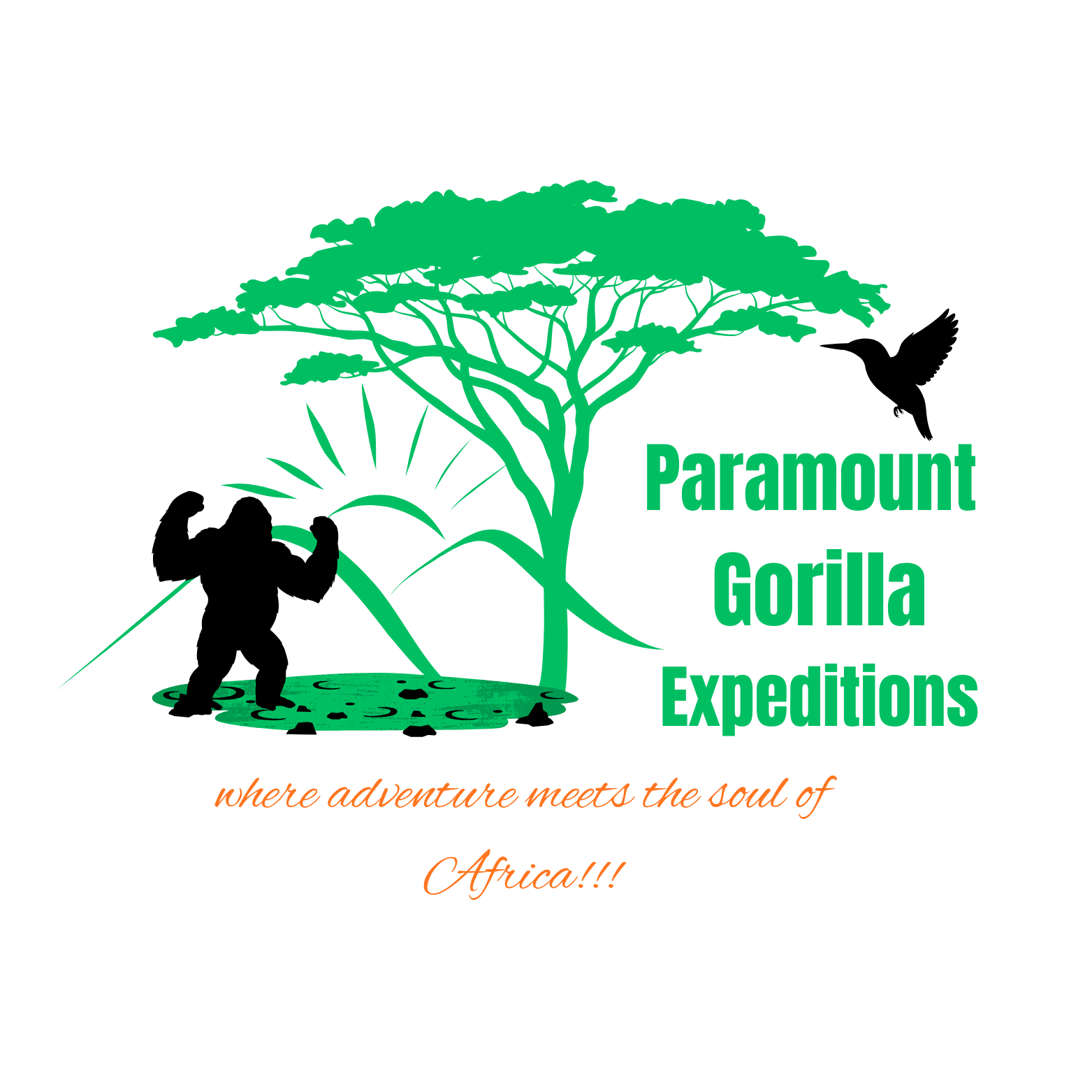 company logo