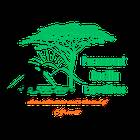 Paramount Gorilla Expeditions