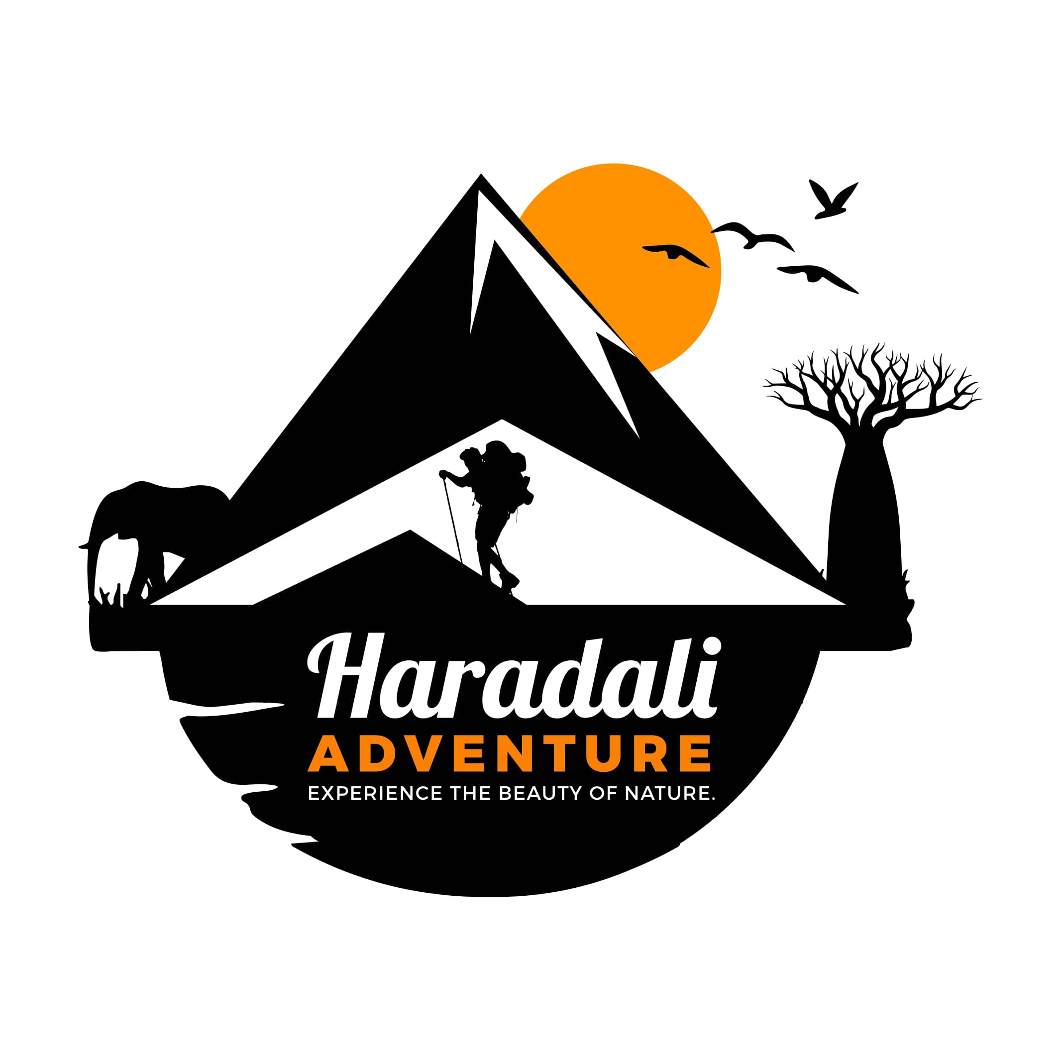 company logo